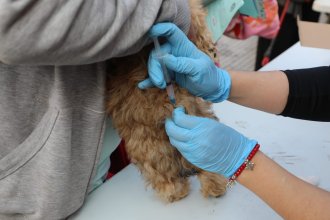 WhatsApp Image 2025-09-25 at 11.05.48.jpeg